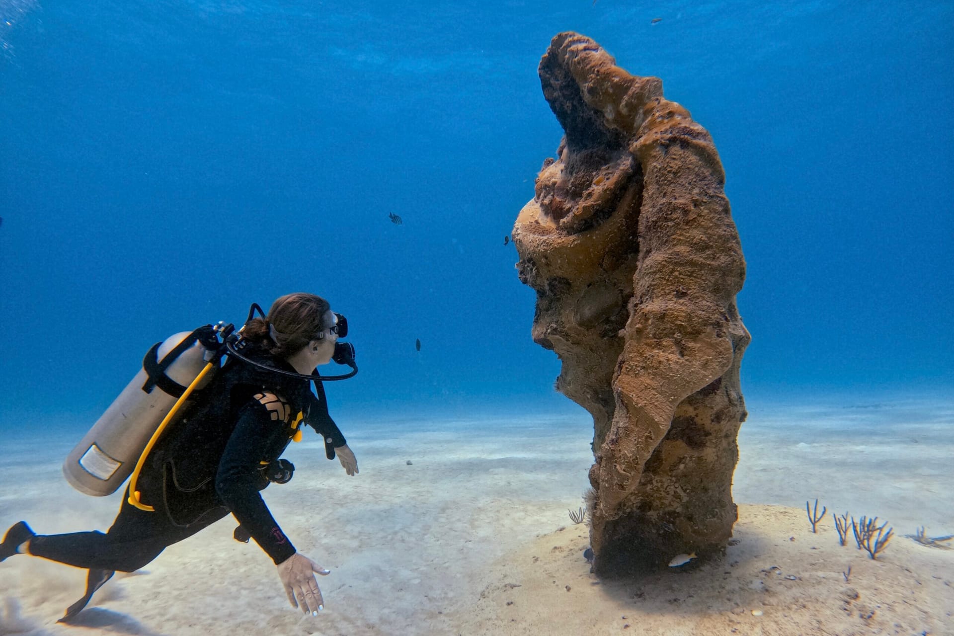 Tauchen Mexiko: Ausbildung, Spaß und Entdeckung bei DeepDiveMexico
