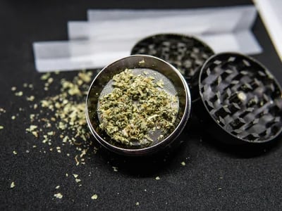 Auf beste Ergebnisse setzen – Cannabis Samen bestellen mit Erfolgsgarantie