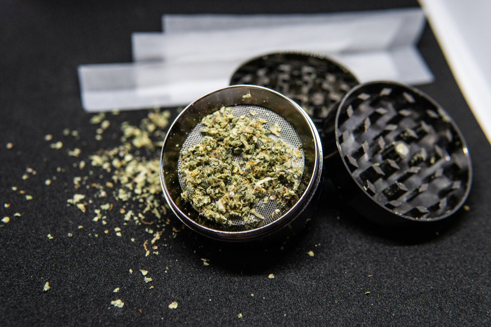Auf beste Ergebnisse setzen – Cannabis Samen bestellen mit Erfolgsgarantie